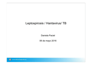 Hanta - Leptospirosis