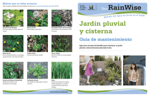 Maleza - 700 Million Gallons