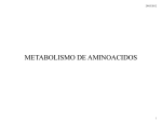 METABOLISMO DE AMINOACIDOS