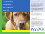 Las enfermedades infecciosas de los perros y gatos y su prevención