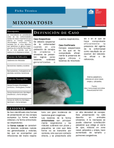mixomatosis