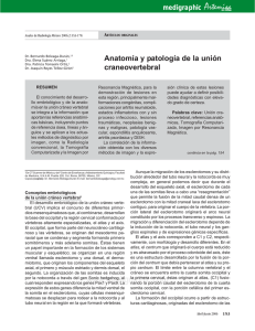 Anatomía y patología de la unión craneovertebral