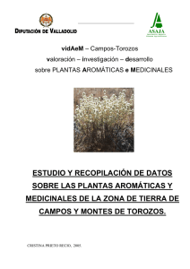 estudio y recopilación de datos sobre las plantas aromáticas y