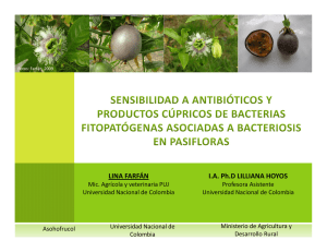 Sensibilidad A Antibióticos Y Productos Cúpricos De Bacterias