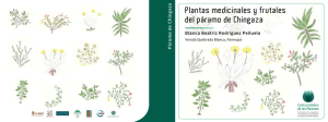 Plantas medicinales y frutales del páramo de Chingaza