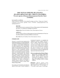 DOS NUEVAS ESPECIES DE SLOANEA (ELAEOCARPACEAE