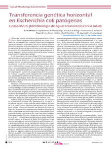 Transferencia genética horizontal en Escherichia coli patógenas