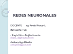 4 Redes Neuronales Recurso