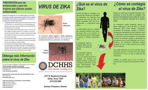 virus de zika - Dallas County