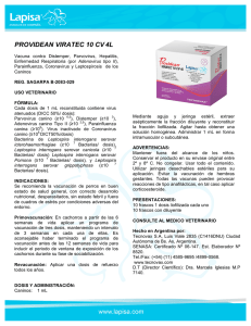 providean viratec 10 cv 4l
