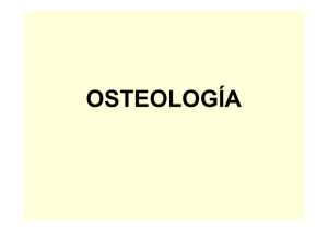 OSTEOLOGÍA