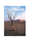 COLOR Namib