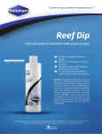 Reef Dip - Ideas Marinas