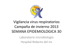 Vigilancia virus respiratorios Campaña de invierno 2013