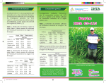Brochure Pasto CT-115
