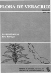 Balsaminaceae