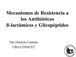 Mecanismos de Resistencia a Antibióticos