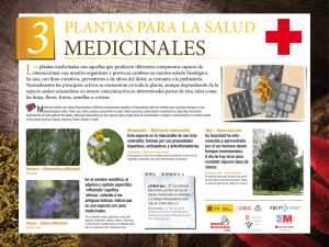Las plantas medicinales son aquellas que producen diferentes
