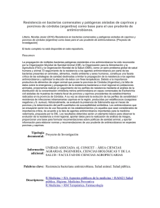 Resistencia en bacterias comensales y patógenas aisladas de