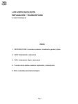 acidos pdf - Contraclave