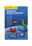 Bacterias multirresistentes