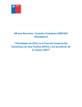 Minuta Resumen- Consulta Ciudadana DIRECON Multilateral