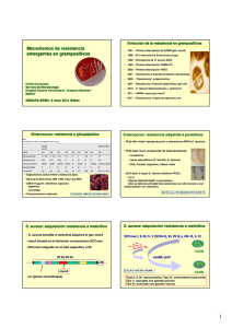 Mecanismos de resistencia emergentes en grampositivos