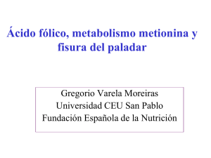 Ácido fólico, metabolismo metionina y fisura del paladar