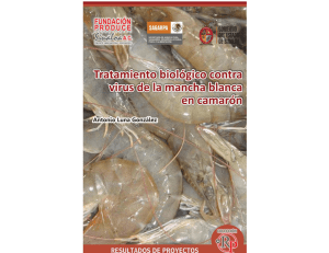 Tratamiento biológico contra virus de la mancha blanca