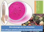 Microbiología de los alimentos: Un enfoque práctico para la