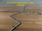 clases ecologia del paisaje y dinamica de parches 09