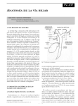 Anatomía quirúrgica de las vías biliares.