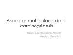 Aspectos moleculares de la carcinogénesis