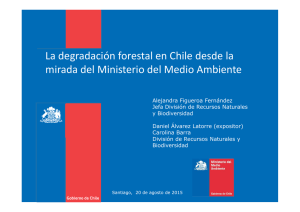 6. Presentaci&oacute;n Ministerio de Medio Ambiente