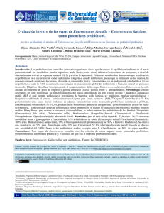 Evaluación in vitro de las cepas de Enterococcus faecalis y