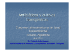 Antibióticos y cultivos transgénicos