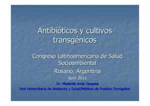 Antibióticos y cultivos transgénicos