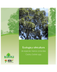 Ecología y silvicultura de especies menos conocidas: Cedro