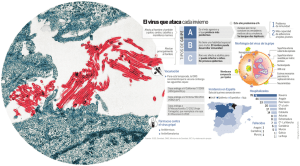 El virus que ataca cada invierno
