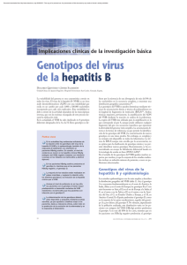 Genotipos del virus de la hepatitis B