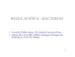 regulación en bacterias