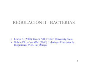 regulación en bacterias