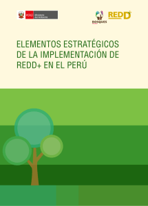 elementos estratégicos de la implementación de redd+ en el perú