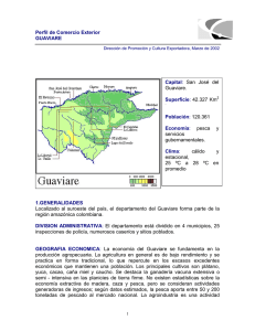 Guaviare, Perfil de Comercio Exterior