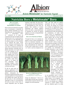 Nutrición Boro y Metalosate® Boro - Metalosate® | Nutrition Delivered
