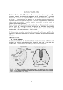 Embriología del oído