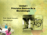 Unidad I Principios Básicos de la Microbiología