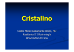 Cristalino_Embriolog..