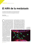 El ARN de la metástasis - Revista Pesquisa Fapesp