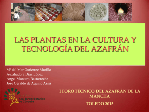 las plantas en la cultura y tecnología del azafrán